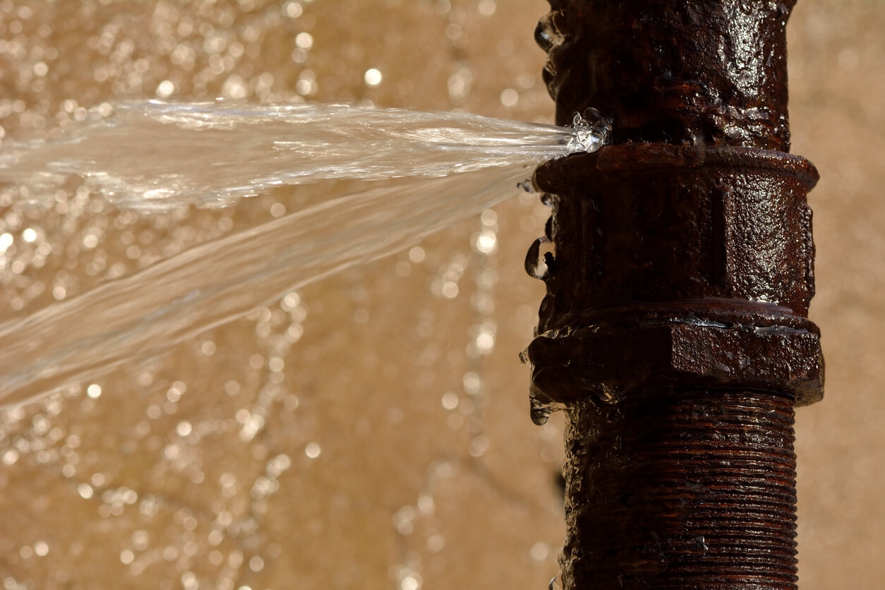 Know Your Flow: Top 5 Signs of Water Leaks