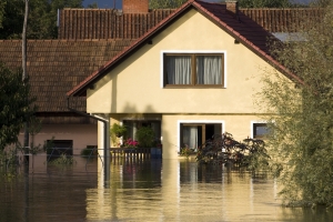 Water Damage Costs More Than You Think: Why Fast Action Matters