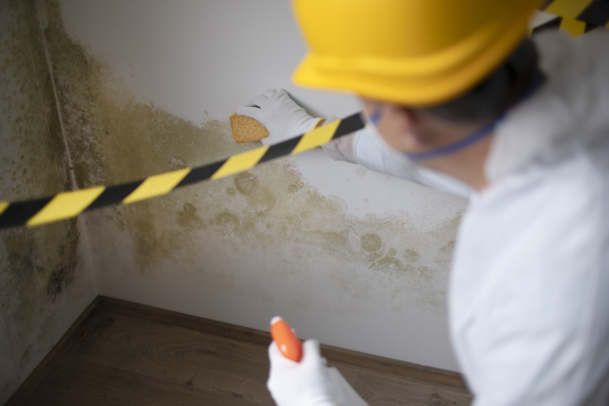 The Nose Knows - Smelling For Mold In Your Home Or Business