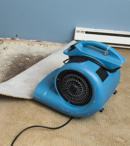 Water Damage Dehumidification Service