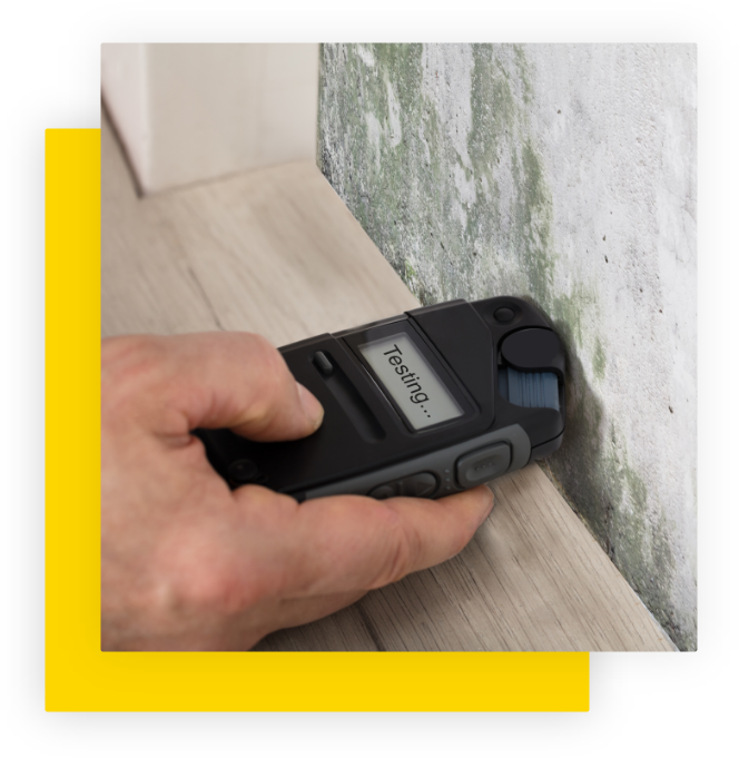 Mold Remediation & Mold Testing