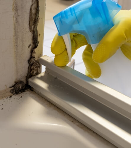 Mold Inspection & Testing | ASDT | Brentwood, TN - mold-licensing