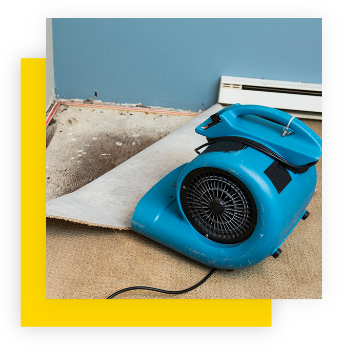Disaster Remediation & Restoration Experts