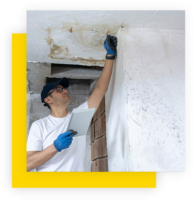 Mold Testing and Remediation Springhill, TN