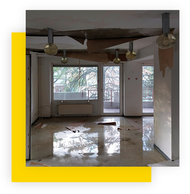 Disaster Remediation & Restoration Experts