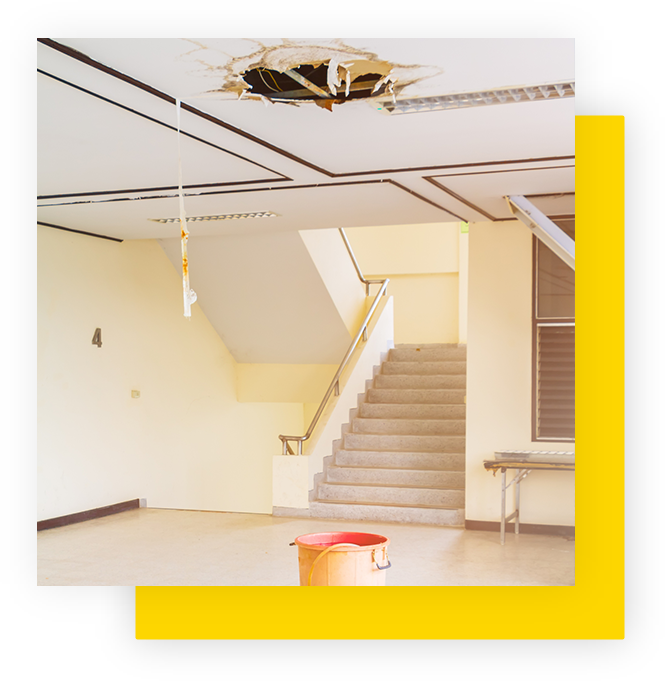 Disaster Remediation & Restoration Experts