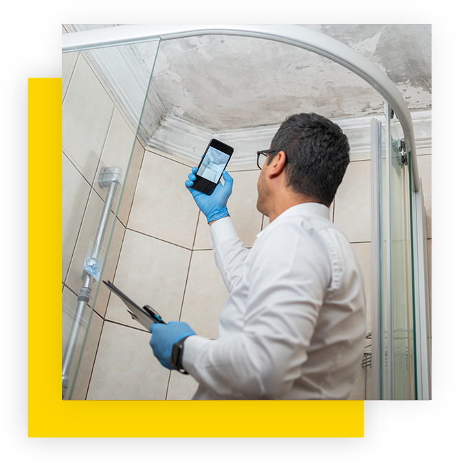 Mold Remediation & Mold Testing