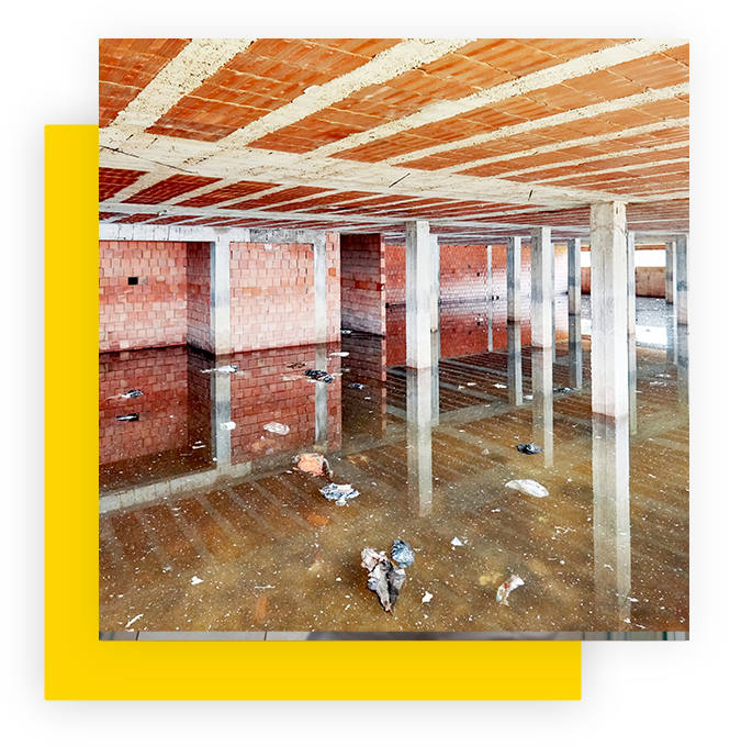 Commercial Recovery Services