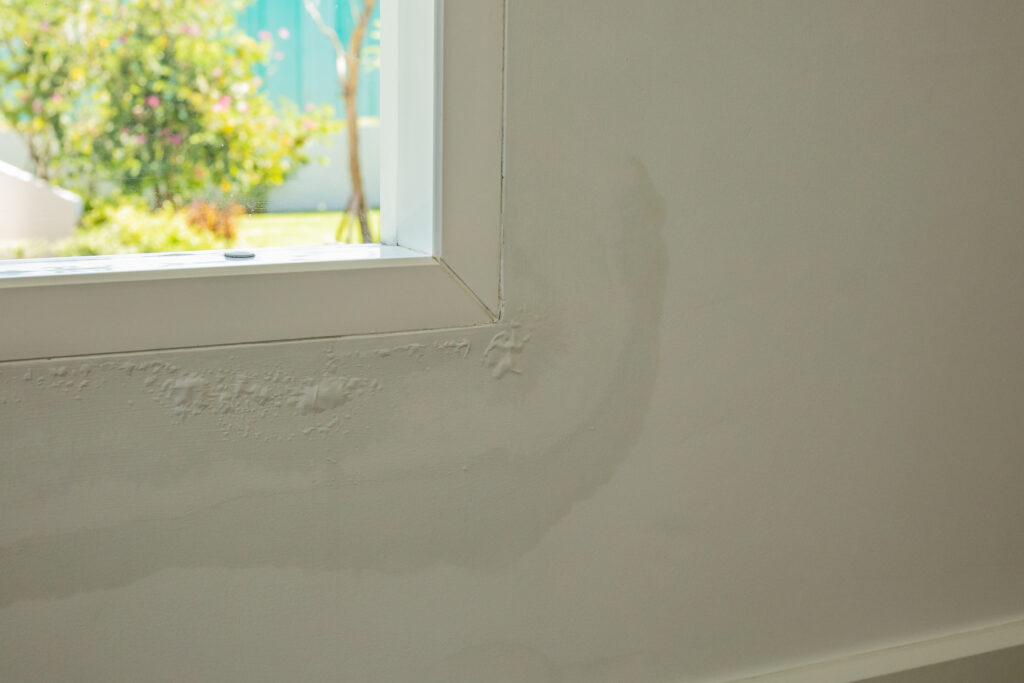 Hidden moisture inside wall after storm increasing mold risk.