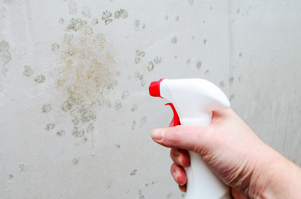 Homeowner spraying a bottle of bleach onto a wall with mold spots