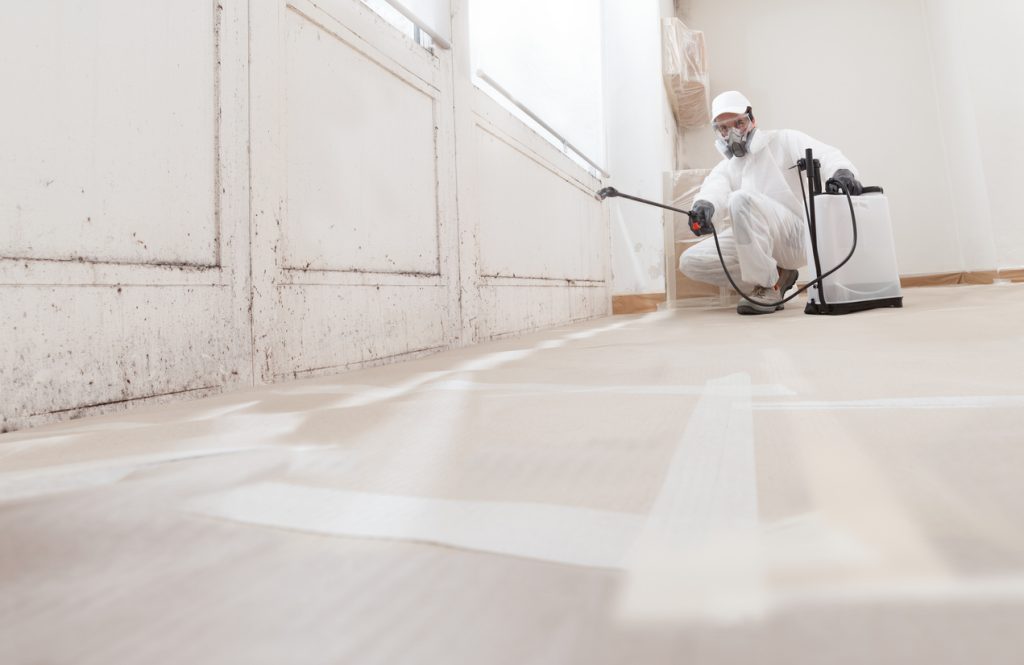 A mold remediation professional in PPE spraying antimicrobials to treat mold